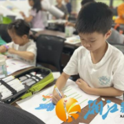 银双社区：童心绘彩芋，探秘奇妙叶世界