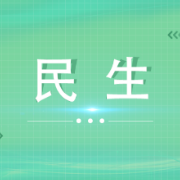 篮坛问鼎！博才小学女篮勇夺全国总冠军