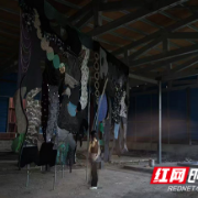 精品展览10月起“扎堆”上线！这份艺术盛宴打卡攻略请收藏