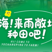 嗨！来雨敞坪种田吧！
