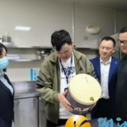 桐溪港社区开展节前专项检查 以闭环管理筑牢安全防线