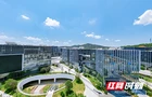 湘江科技创新院来了！湘江西岸这个园区擦亮科创高地底色
