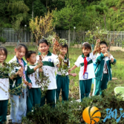 音乐厅田间迎国庆 白箬小学美育实践别样红