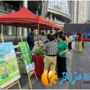 银鸿社区携手桐木村：党建聚合力，绘就乡村振兴新图景