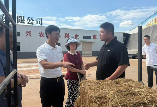 变废为宝 点“草”成金