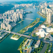 以集群式发展，破解产业发展密码