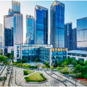 金融活水从“新”来