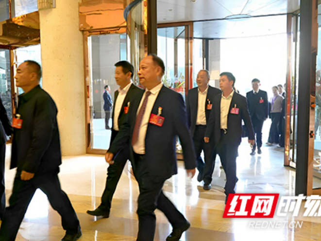 汇民声、话发展！岳麓区人大代表报到