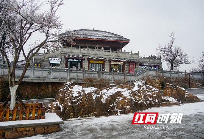 组图丨银装素裹，美成水墨画！岳麓山限定版冬景“上新”