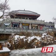 组图丨银装素裹,美成水墨画!岳麓山限定版冬景“上新”