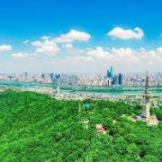 博才云时代小学获评“全国节约型公共机构示范单位”