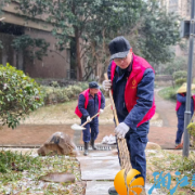 学安社区联合“红色物业”清雪除障护航居民平安