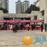 金山桥街道开展“政务透明零距离 阳光政府暖民心”政务公开主题日活动