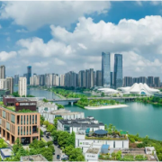 把城市“种”进公园里