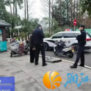 盗窃亮化设施当场抓获 破坏公共财产必受严惩