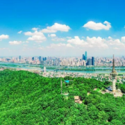 湘江新区鸟类保护倡议书