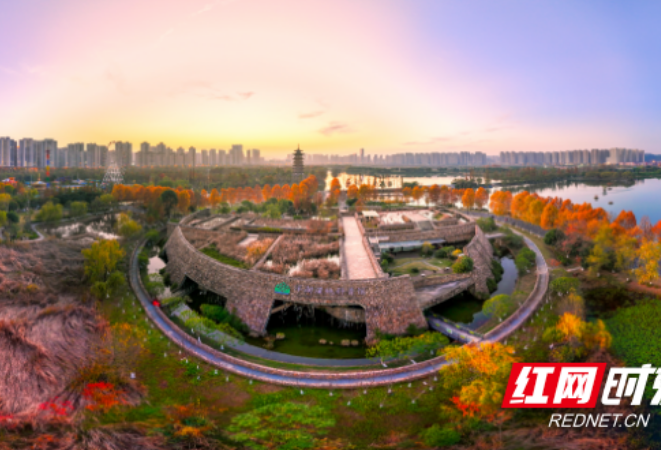 世界湿地日丨探寻洋湖国家湿地公园的前世今生