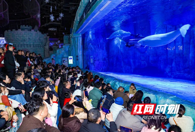 湘江新区“春”意浓：文旅商圈“热”力足，消费市场跑出加速度