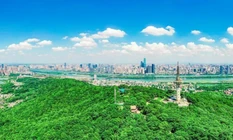 湘江新区发布第1号林长令 全面加强鸟类等野生动物保护