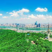 湘江新区发布第1号林长令 全面加强鸟类等野生动物保护