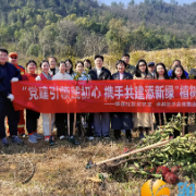 党建引领践初心,华茂社区携手共建“绿美家园”