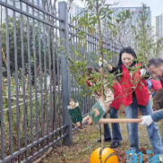 播一片新绿美家园 植一颗廉心树清风