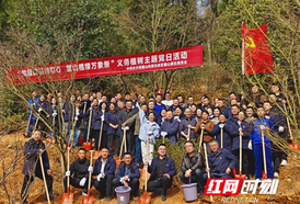 春风拂麓山，植树正当时