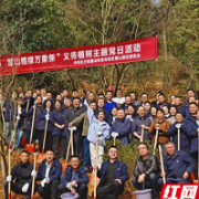 春风拂麓山，植树正当时