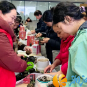 黄金园街道以“指尖生花,肉趣无穷”园艺活动赋能退休生活