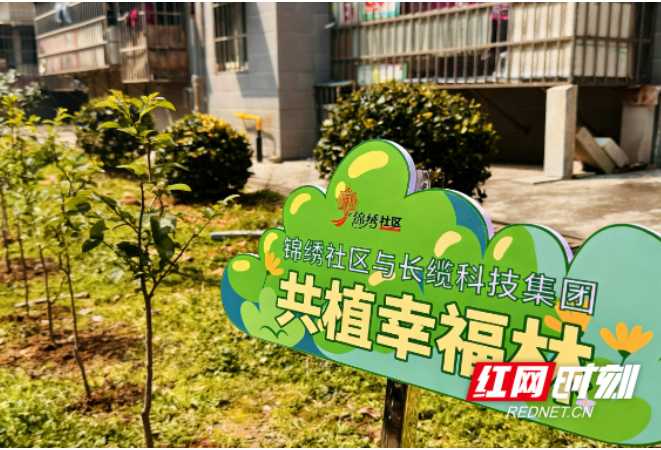 共植幸福林！湘江新区锦绣社区这场接力很暖心
