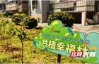 共植幸福林！湘江新区锦绣社区这场接力很暖心