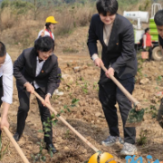 植此青绿，共赴春约