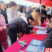 人气爆棚！这场招聘会吸引求职者1800多名