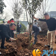 学士街道：植绿添彩启新程 绘就宜居新画卷