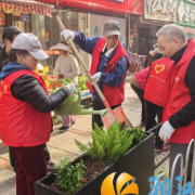 党建引领添新绿 多方共治美家园