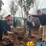 春植新绿添美景 同心共筑生态家