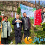 青山为卷植新绿,共治同心筑幸福