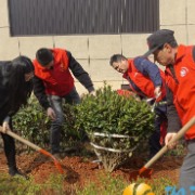 清风拂沃土 廉意润心田
