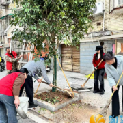 观沙岭街道： 春风催新绿 实干美家园