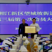 望城坡街道：商会换届迎新 再谱发展新篇