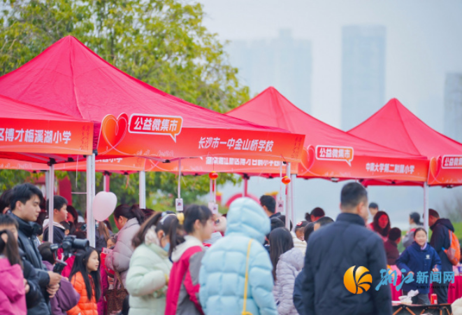 雷锋家乡学雷锋 新区服务“新”力量