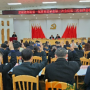 望城坡街道第一届居民议事会第二次会议顺利召开 聚力谱写街道高质量发展新篇章