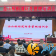 夯实财务基础 提升履职效能 金山桥街道开展街道财务管理工作专题培训