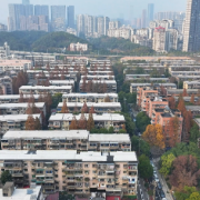 “乐龄湘伴”系列宣传短视频丨热乎的日子