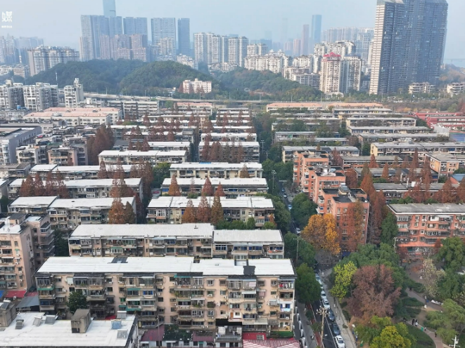 “乐龄湘伴”系列宣传短视频丨热乎的日子