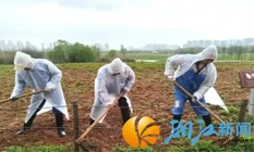 播种一片春色，静待洋湖花开