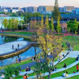 后湖之“厚”|走读“新江湖”系列报道之三