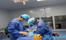 十年两回“疝”事，都在家门口“搞定”