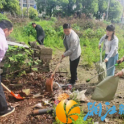 部门联动除顽疾 闲置地块焕新颜