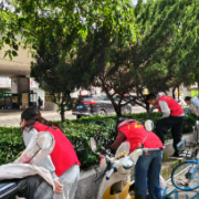 望城坡街道：锤炼党性守初心 蓄能聚才担使命